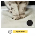 ⁦שמיכה חמימה לחתול "יוקי"⁩ – תמונה ⁦5⁩