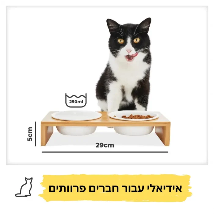 ⁦זוג קערות לחתול "מייפל"⁩ – תמונה ⁦6⁩