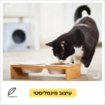 ⁦זוג קערות לחתול "מייפל"⁩ – תמונה ⁦4⁩