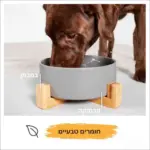 ⁦קערה לכלב XL “שוקי” אפור⁩ – תמונה ⁦6⁩
