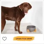 ⁦קערה לכלב XL “שוקי” אפור⁩ – תמונה ⁦7⁩
