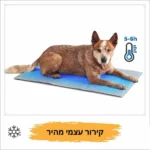 ⁦משטח קירור לכלב "פנדה"⁩ – תמונה ⁦5⁩