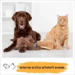 ⁦מסרק מתיר קשרים "ג'ורג"⁩ – תמונה ⁦7⁩