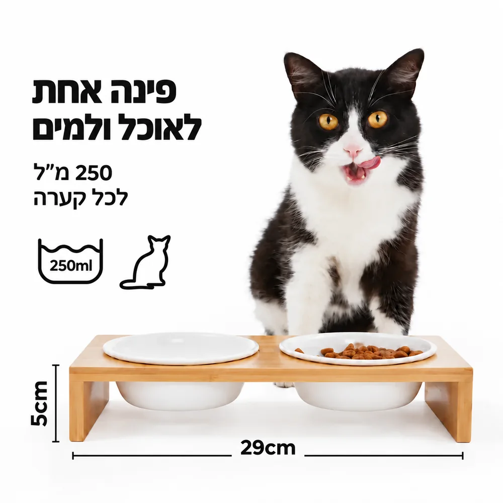 חתול לצד זוג קערות מייפל לבנות, 250 מ״ל לכל קערה. מעמד ברוחב 29 ס״מ ובגובה 5 ס״מ.