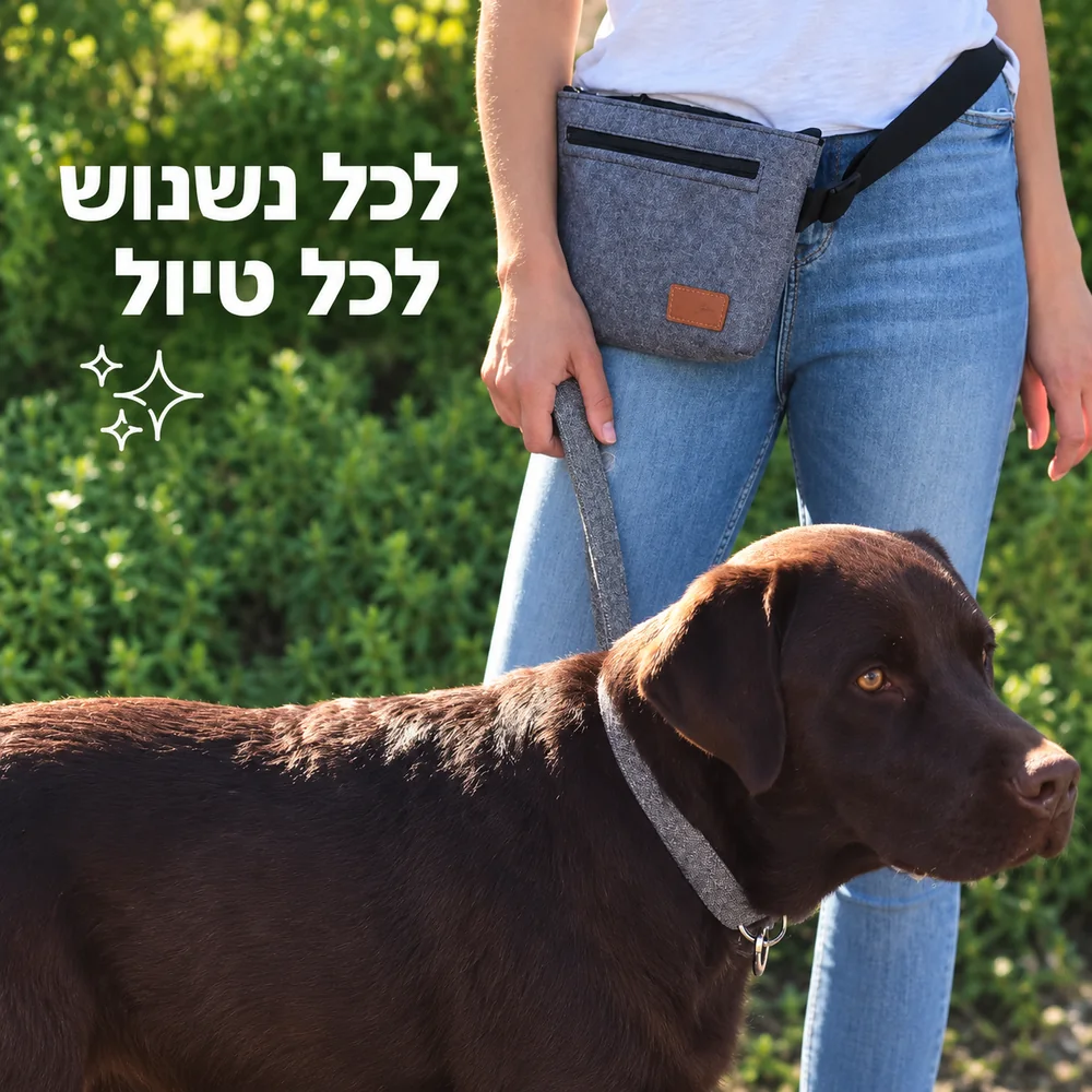 תיק אילוף מילאן אפור על המותן לצד כלב בטיול