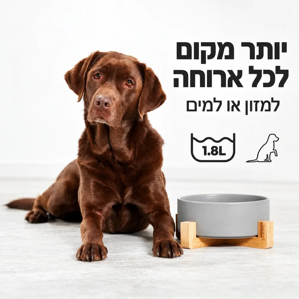 כלב לצד קערת שוקי XL אפורה על מעמד במבוק. נפח 1.8 ליטר למזון או למים.