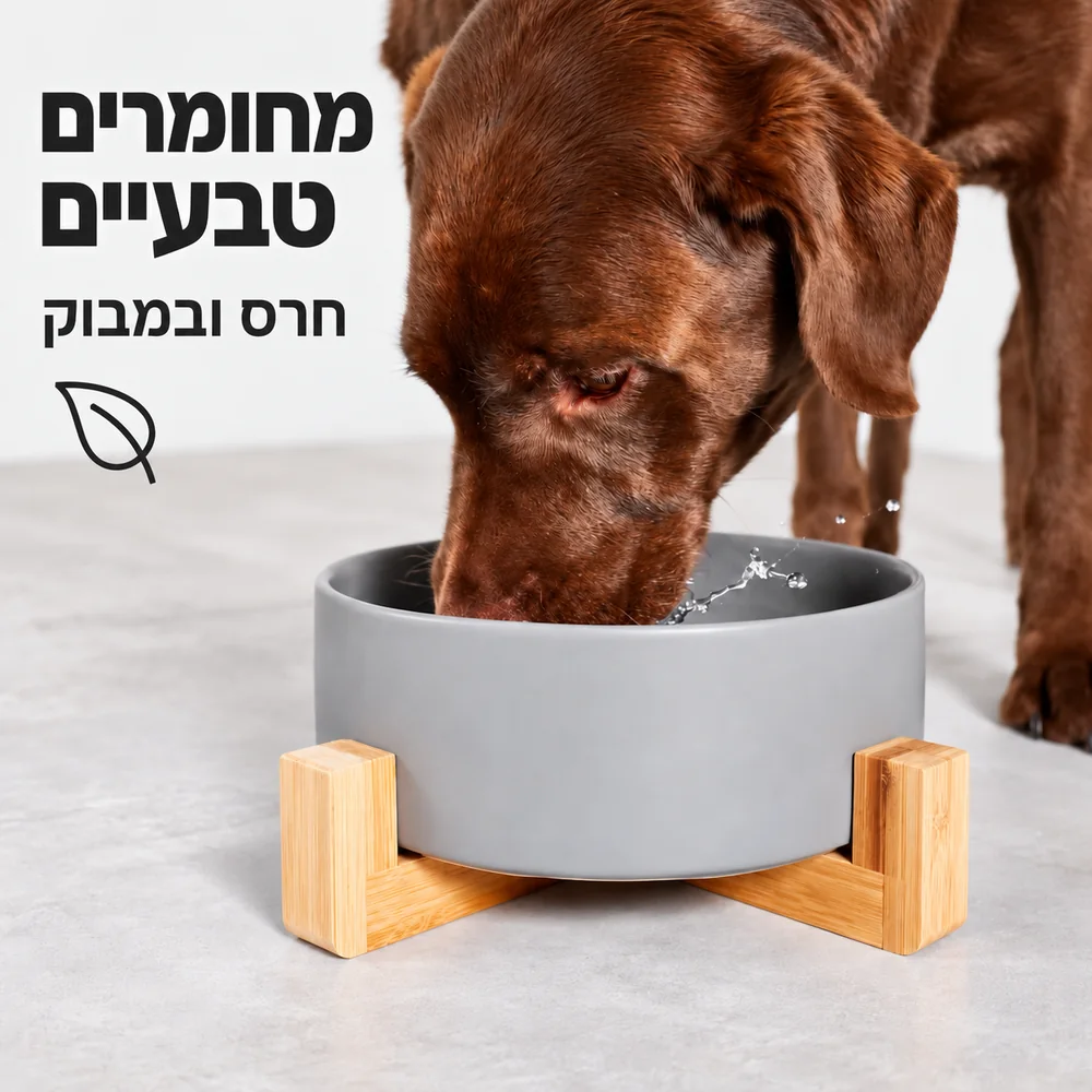 כלב שותה מקערת שוקי XL אפורה על מעמד במבוק טבעי. חרס ובמבוק.